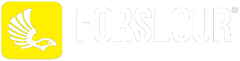 FORSEGUR